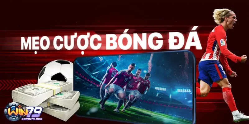 Lựa chọn cá cược có tỷ lệ cược hợp lý